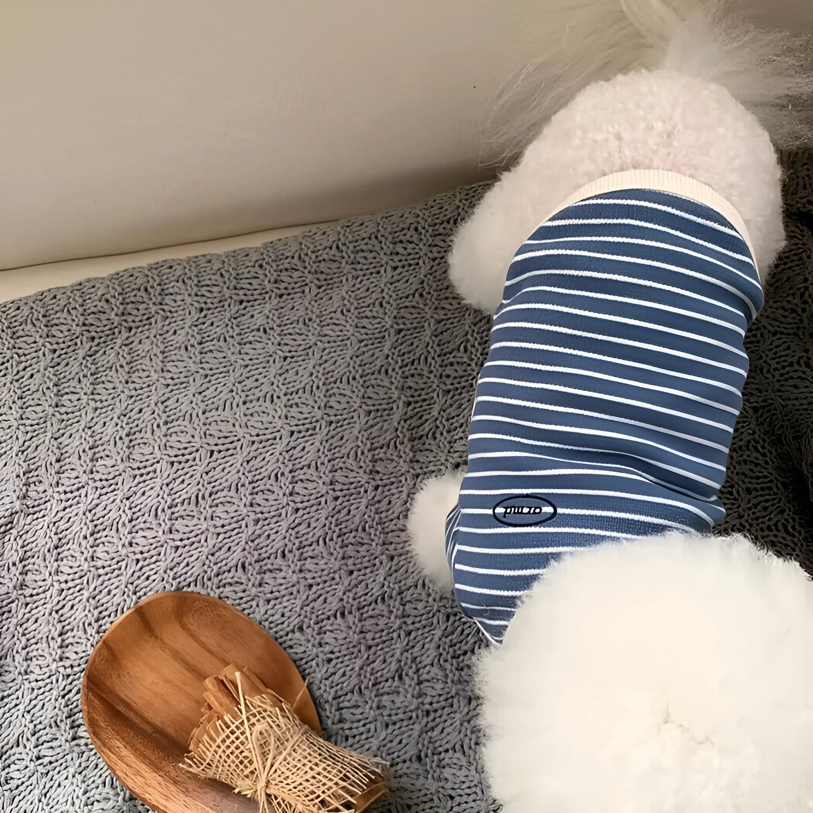 Simple Striped Printed Small Pet Dog Clothes in Cotton, Five Sizes from XS to XL for Tiny to Medium Dogs, Blue, Pink, Brown, Purple, Green, Casual Everyday Wear for Male and Female Pets