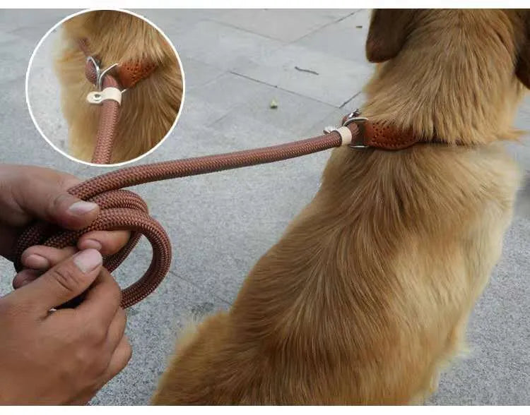 Brown nylon dog lead with P-chain handle showing rope-style construction