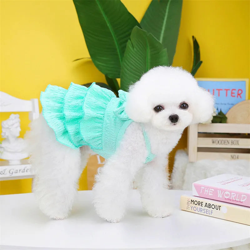 Small dog wearing thin polyester princess dress with layered candy skirt in water green colour