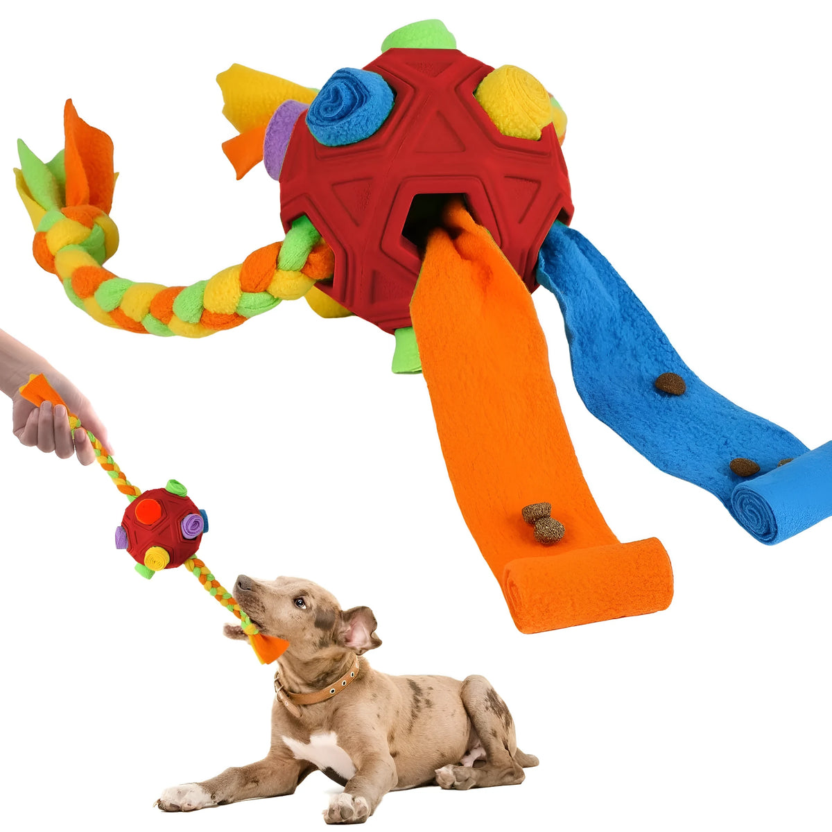Pet Sniffing Ball dog puzzle toy in blue, green, orange, pink, purple, red, redgreen, or yellow colours