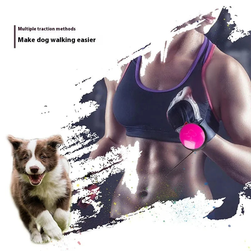 Automatic retractable dog leash with 3 metre length showing six colour options