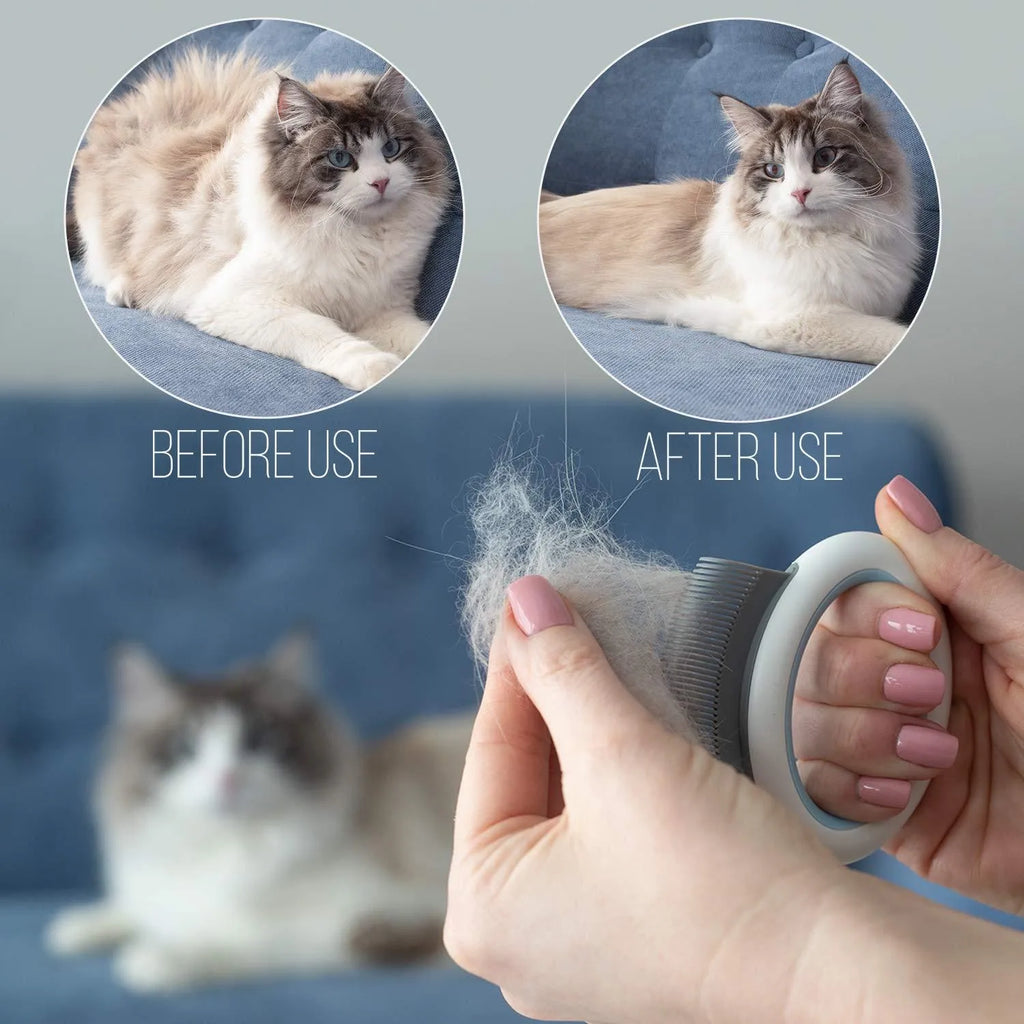 Blue pet deshedding comb with soft teeth and ergonomic plastic handle for grooming cats and dogs.