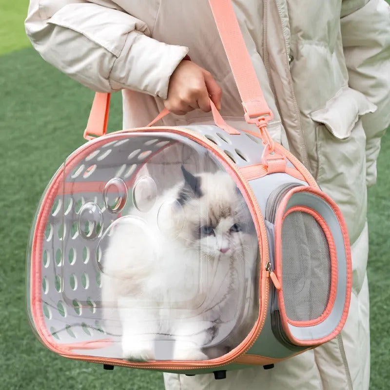Large transparent hard EVA cat backpack carrier in violet colour showing space capsule design