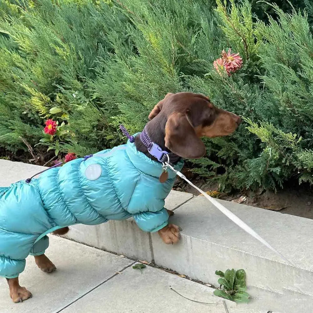 Blue four-legged pet thermal cotton coat with S to XXL size options for autumn and winter