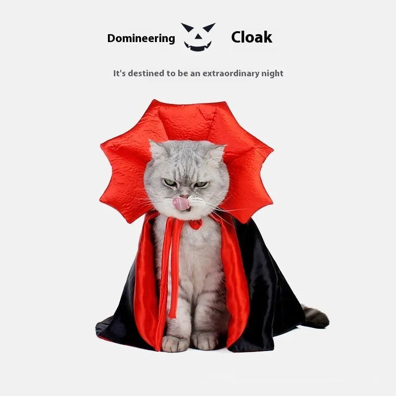 Black and red Halloween costume for small pet cat or dog with European American style