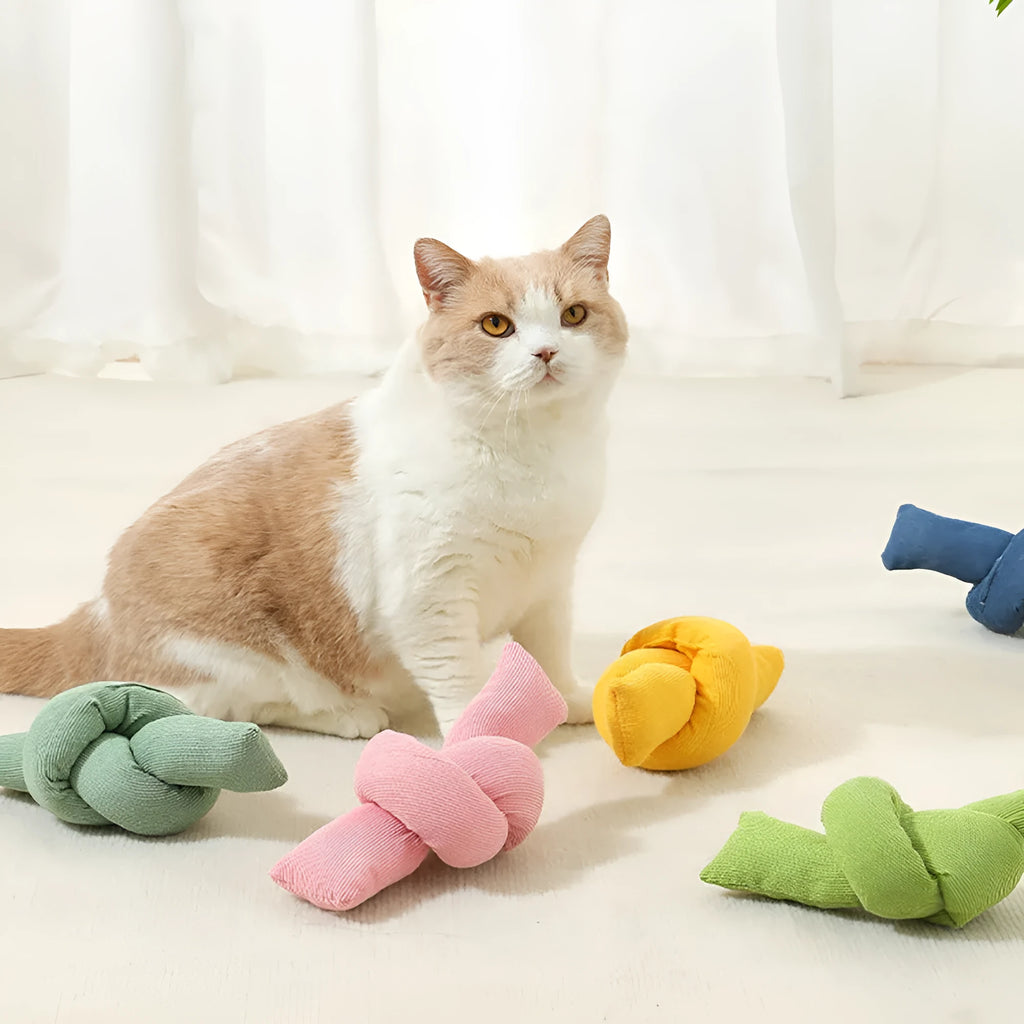 White cotton dog rope toy with multiple knots for tug games and chewing