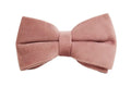 Light purple dog collar with pink velvet fabric shown in multiple size options