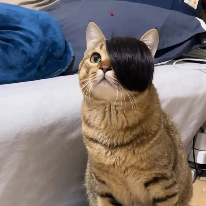 Black polyester fox tail cat wig with clip attachment for pet costume dressing