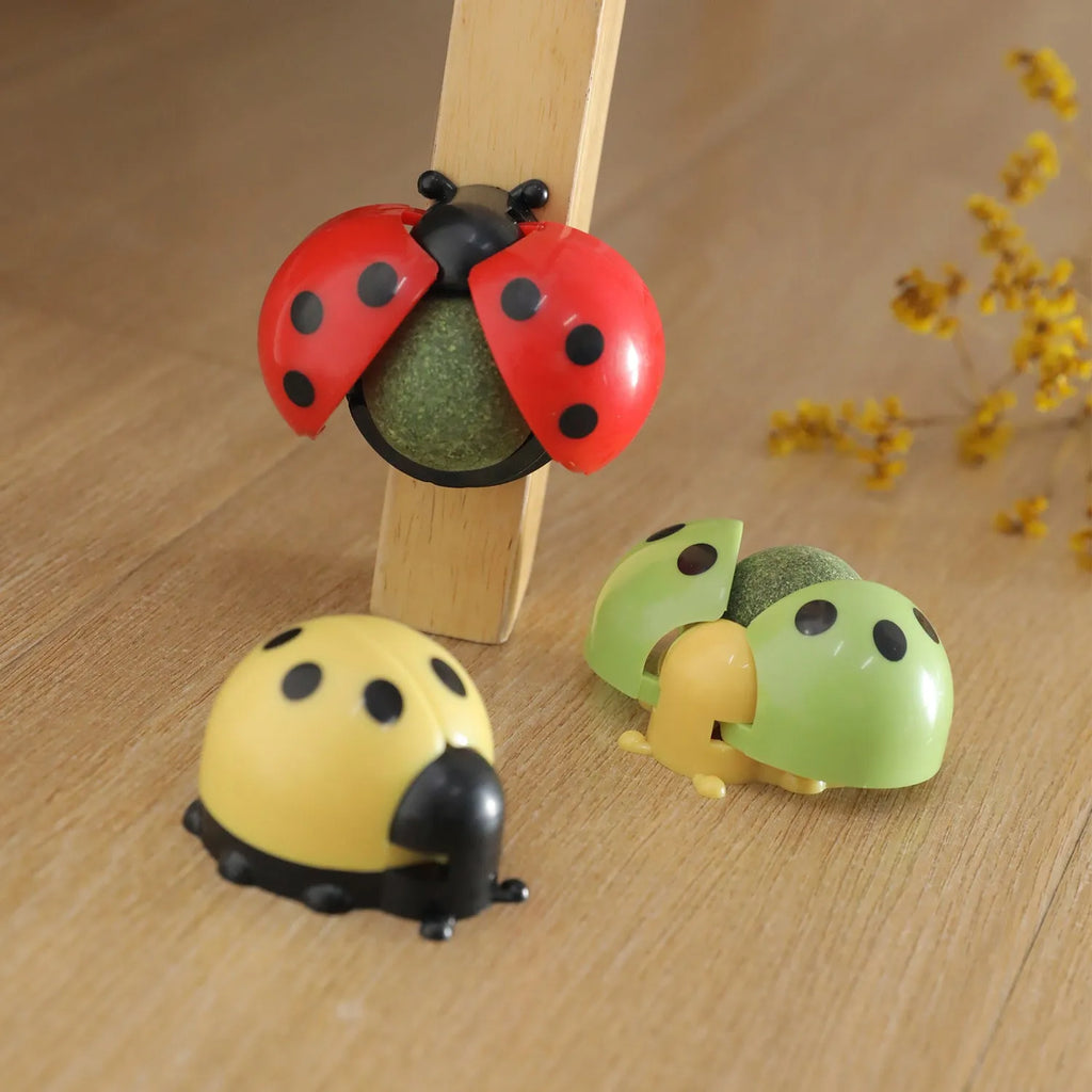 Ladybird catnip ball toy in ABS for cat licking and molar play, shown in black and red colourway