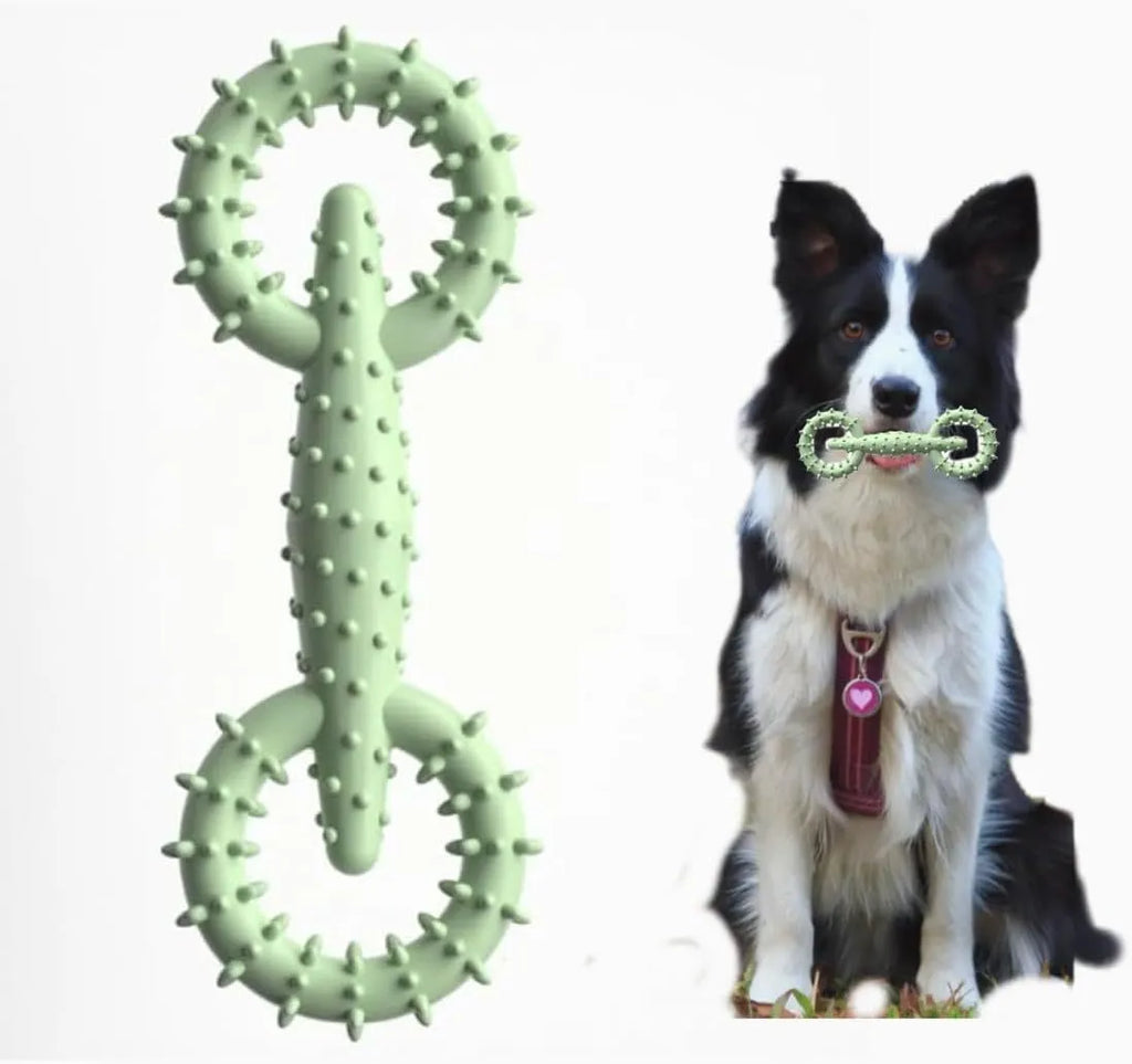 Blue TPR dog chew toy ring board for puppy teething relief measuring 16cm by 5.8cm