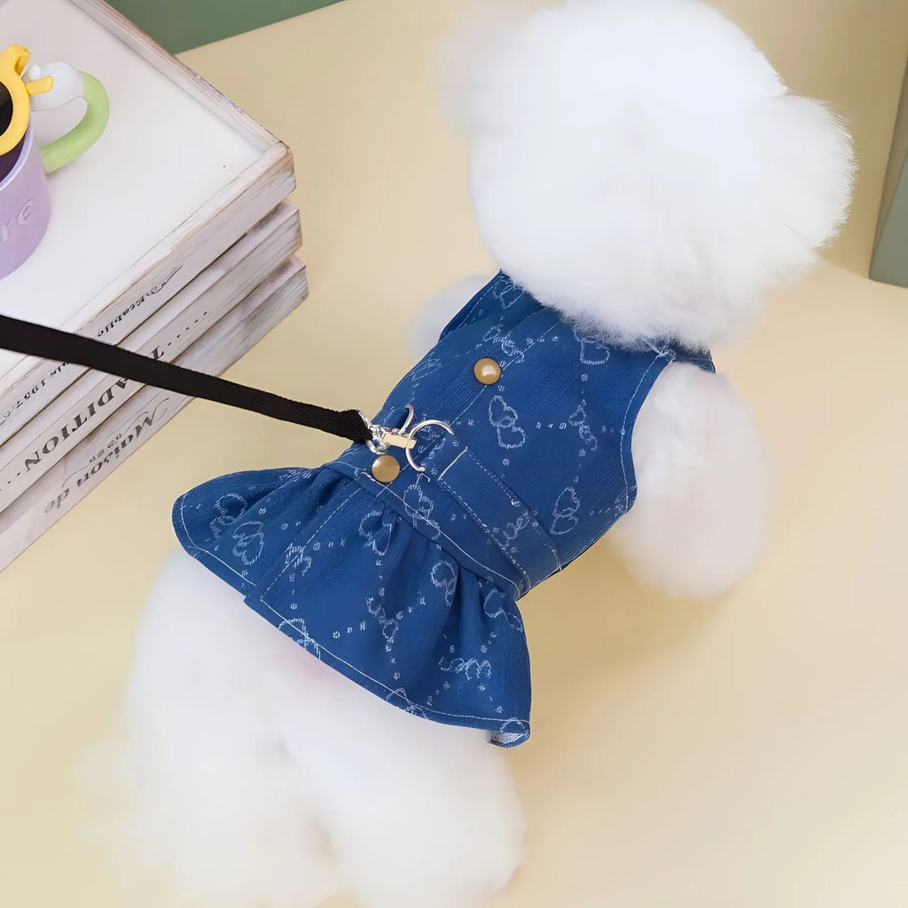 Small white Bichon dog wearing a denim princess dress with bracket skirt design