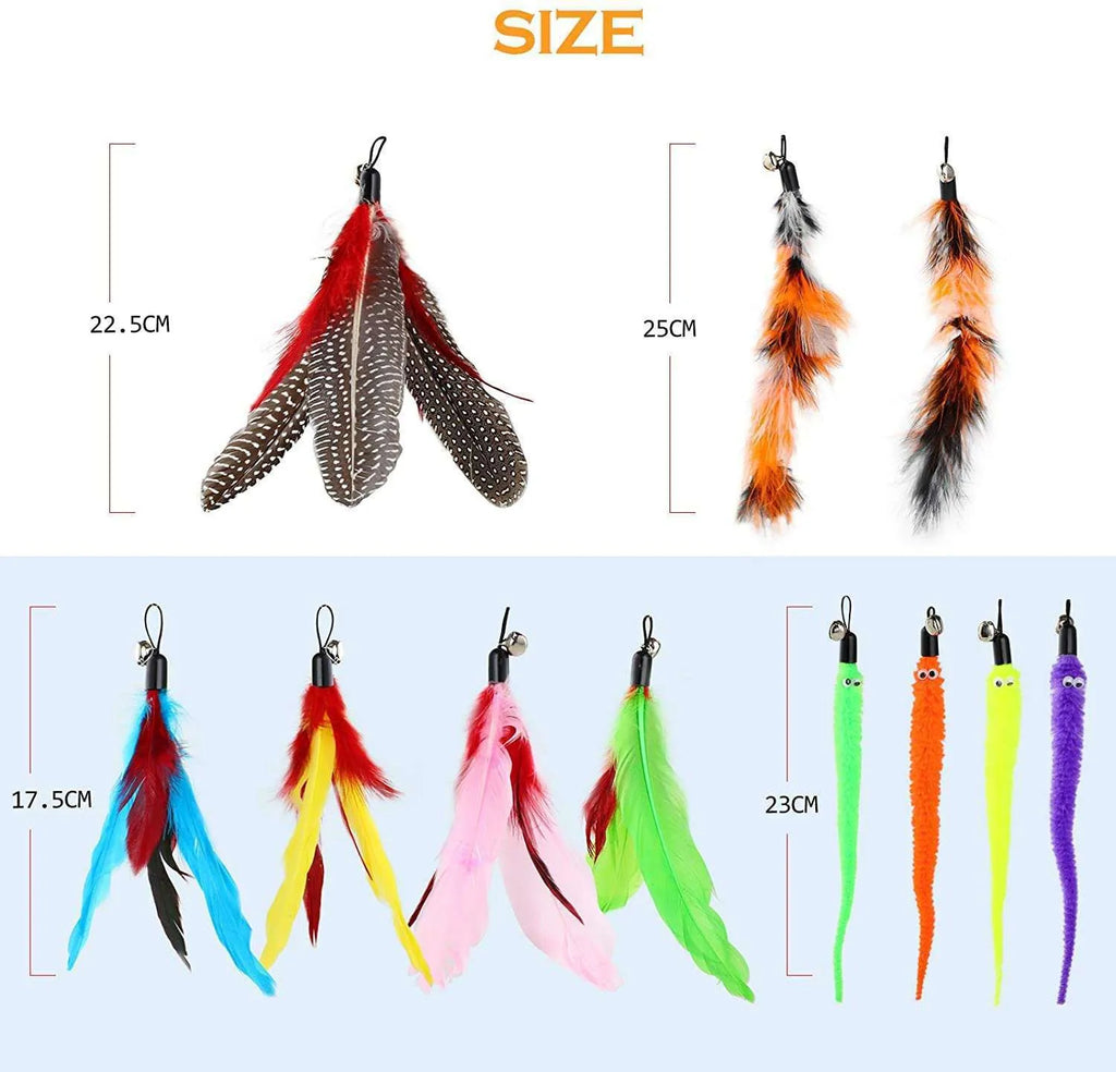 Cat teasing pole set showing two collapsible fishing rod toys with feather attachments and a pack of ten spare heads.