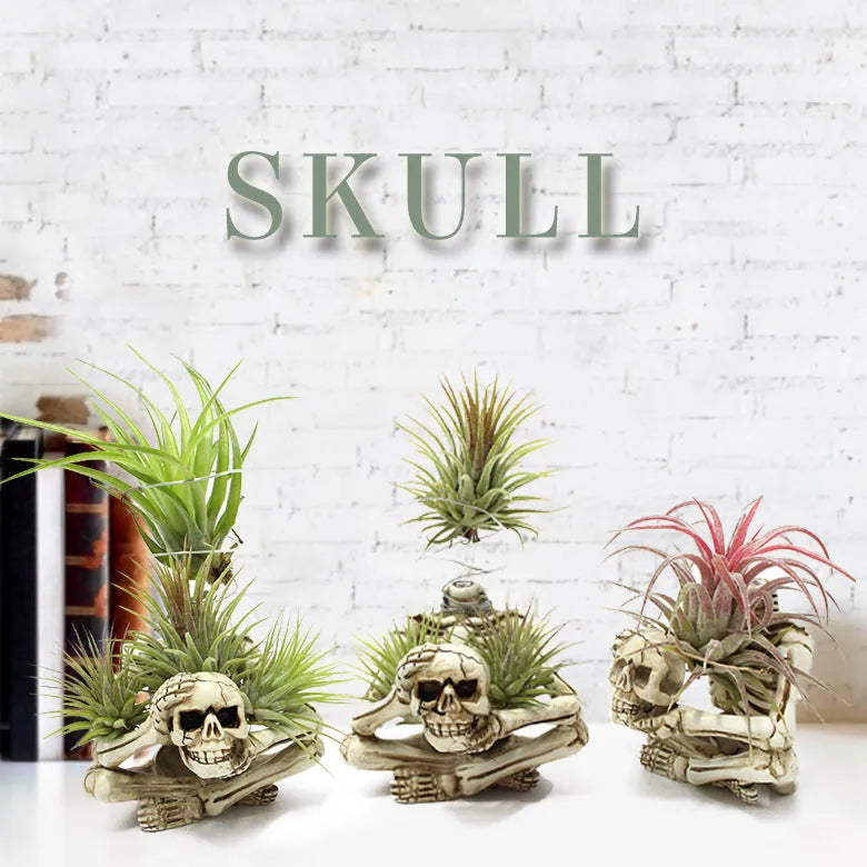 Gothic skull design resin bracket for tillandsia plants with iron base