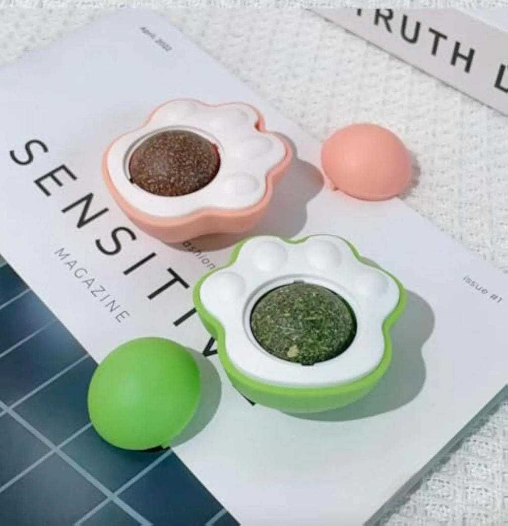 Four assorted coloured catnip balls for feline dental care and interactive play
