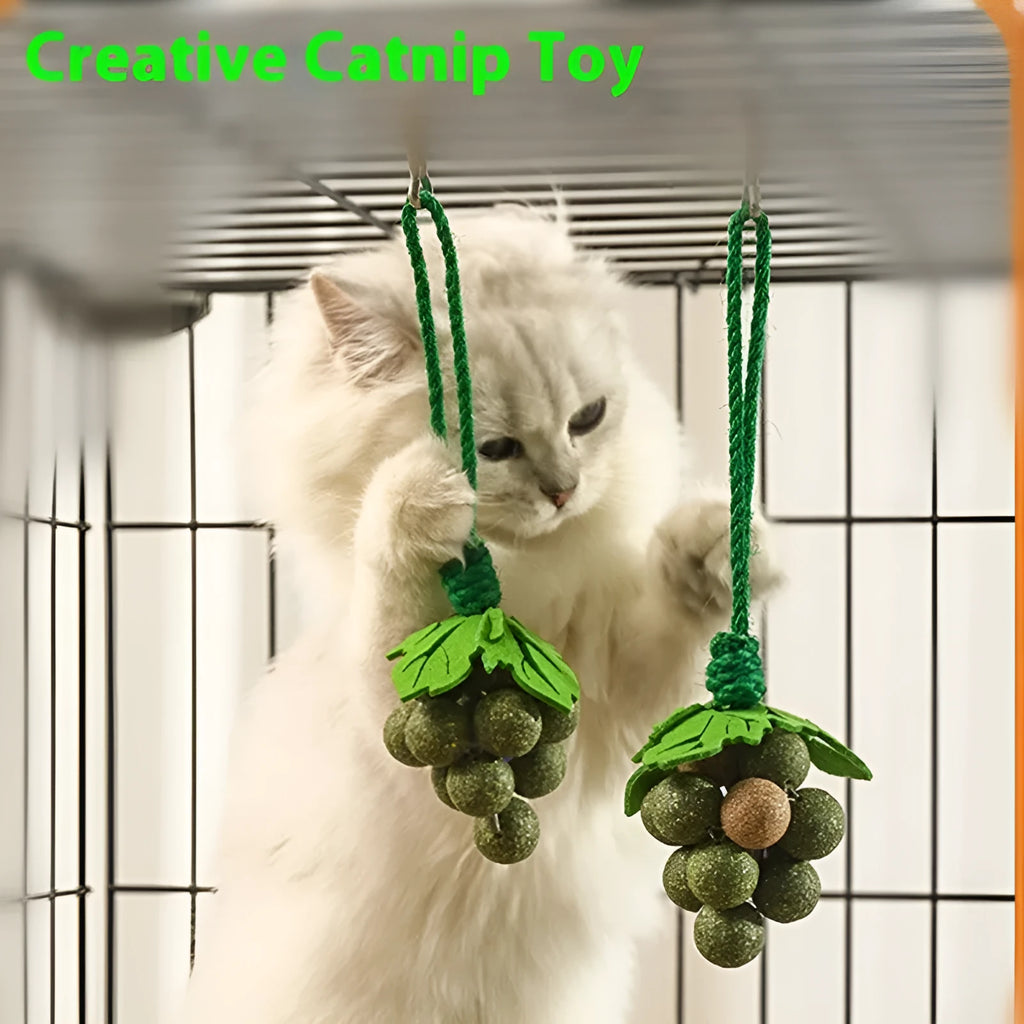 Cotton thread grape cluster cat teaser molar toy in mint, insect gall fruit, or mixed flavour