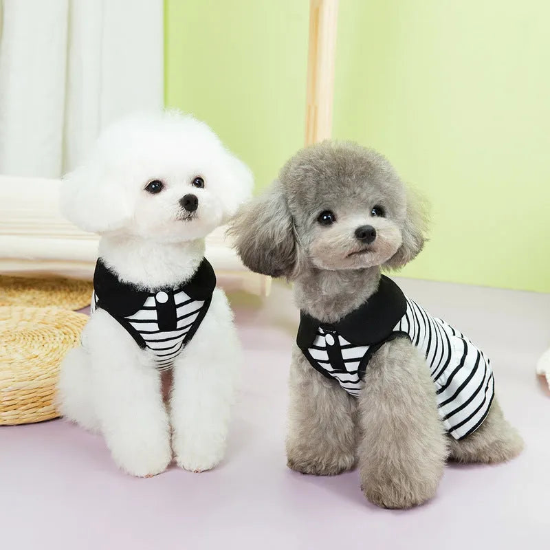 Striped cotton T-shirt and skirt set for pets in summer colours