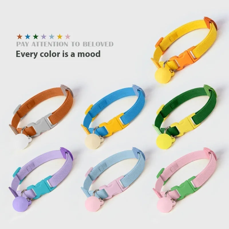Small dog elastic polyester pet collar in multiple colours on a white background