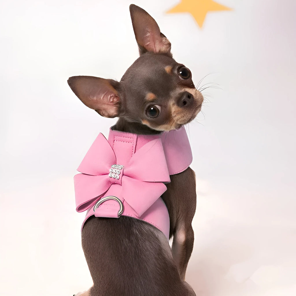 Colourful puppy chest strap with decorative bowknot for small dog harness attachment