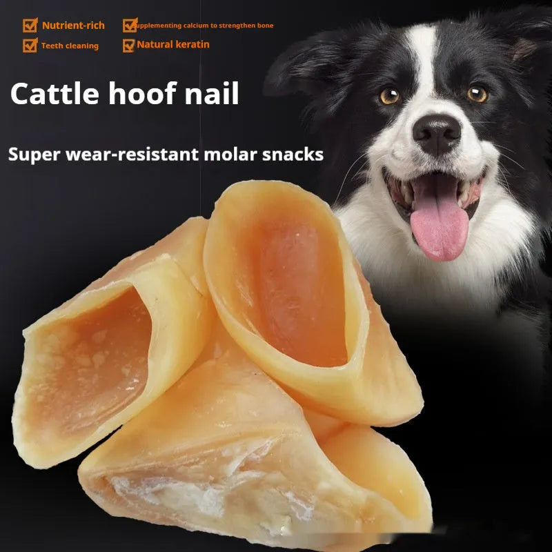 Natural cowhide bovine hoof shell dog chew toy shown in small and large size options.