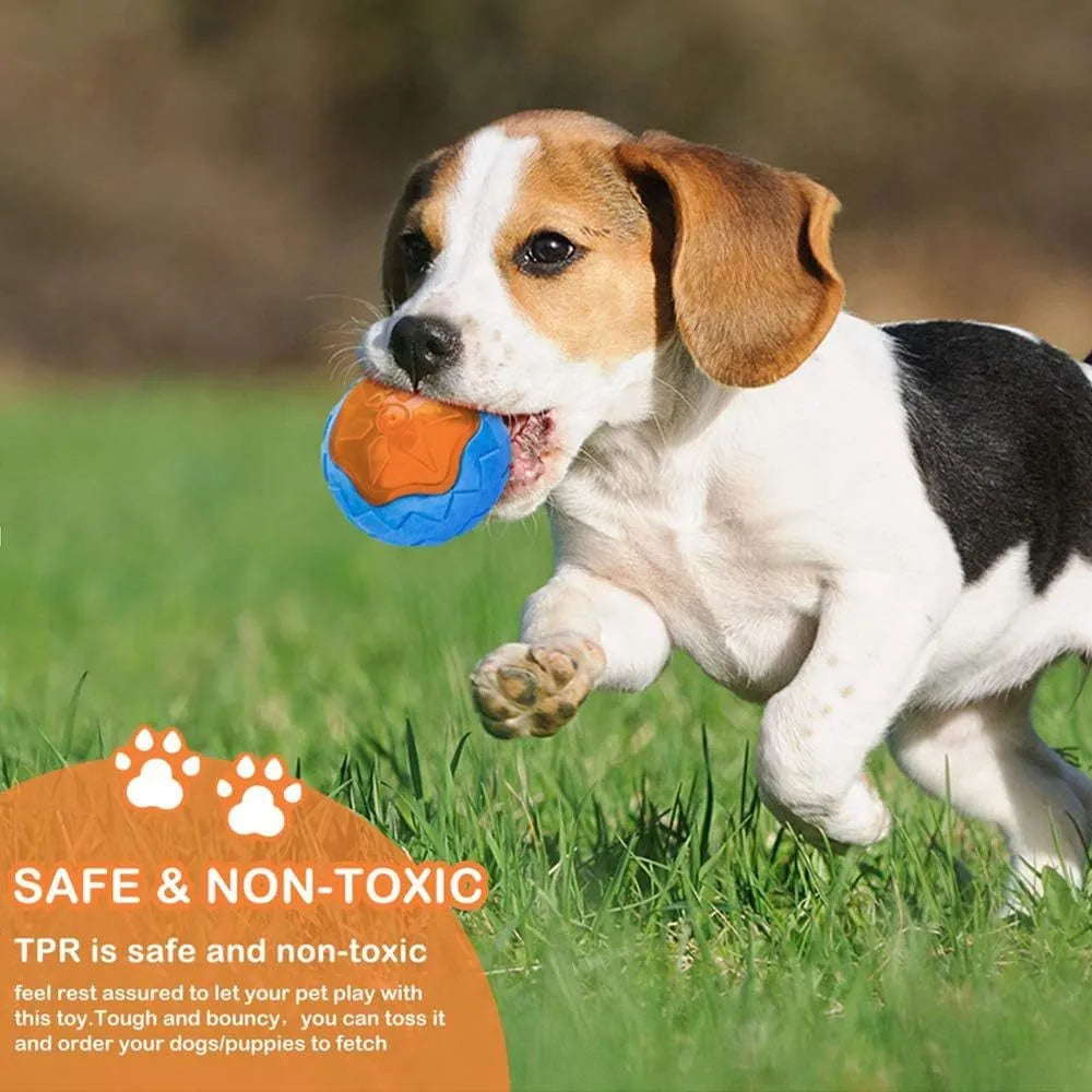 TPR squeaky dog toy set with ball, tires, and barbell floating in water