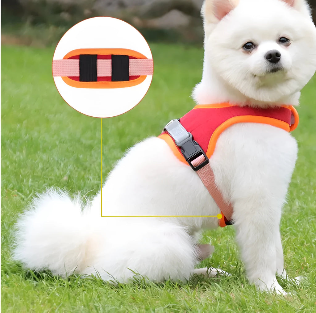 Suede dog harness adjustable chest strap in blue, dark blue, grey, red, sizes S to XL