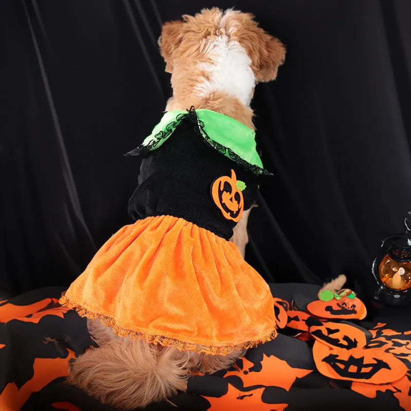Halloween pumpkin skirt pet costume for small dogs in crystal velvet fabric with size options