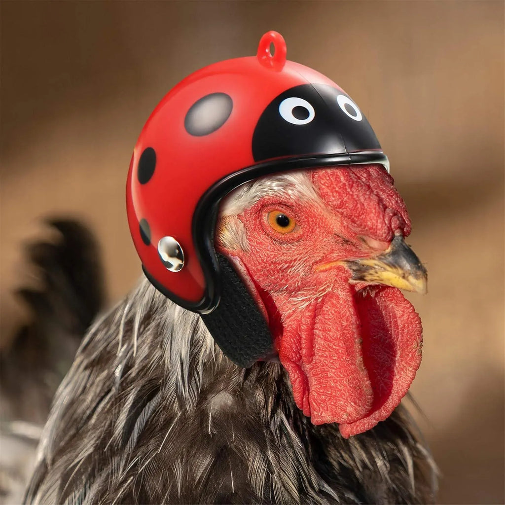 Small adjustable pet helmet for chickens and birds with elastic bands and sponge lining