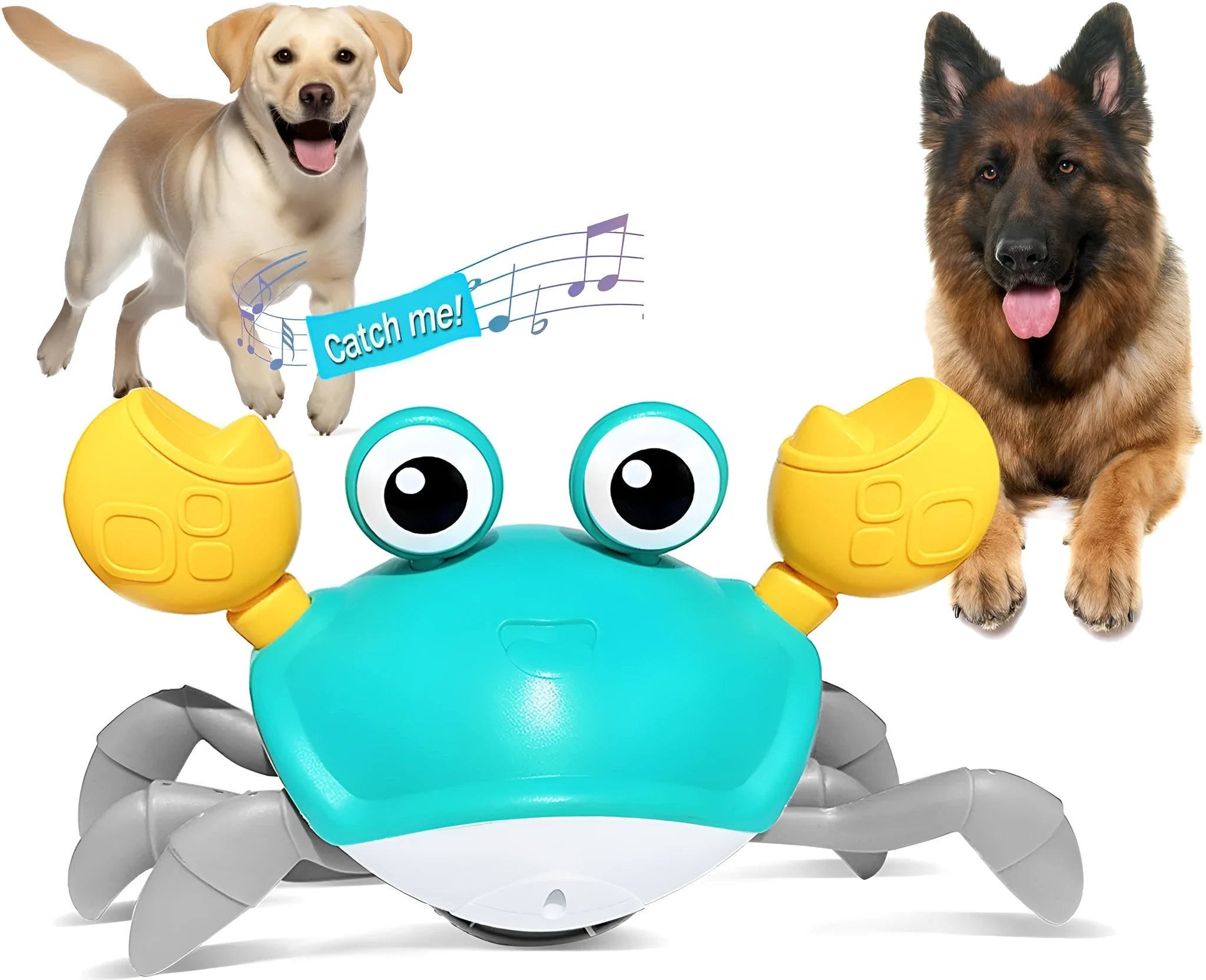 Blue crawling crab dog toy with obstacle avoidance sensors for interactive pet play