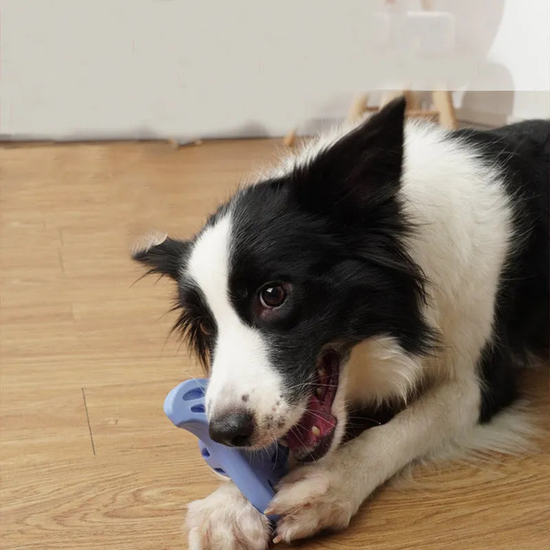 Blue bite-resistant boomerang dog toy for medium and large breeds on a plain background