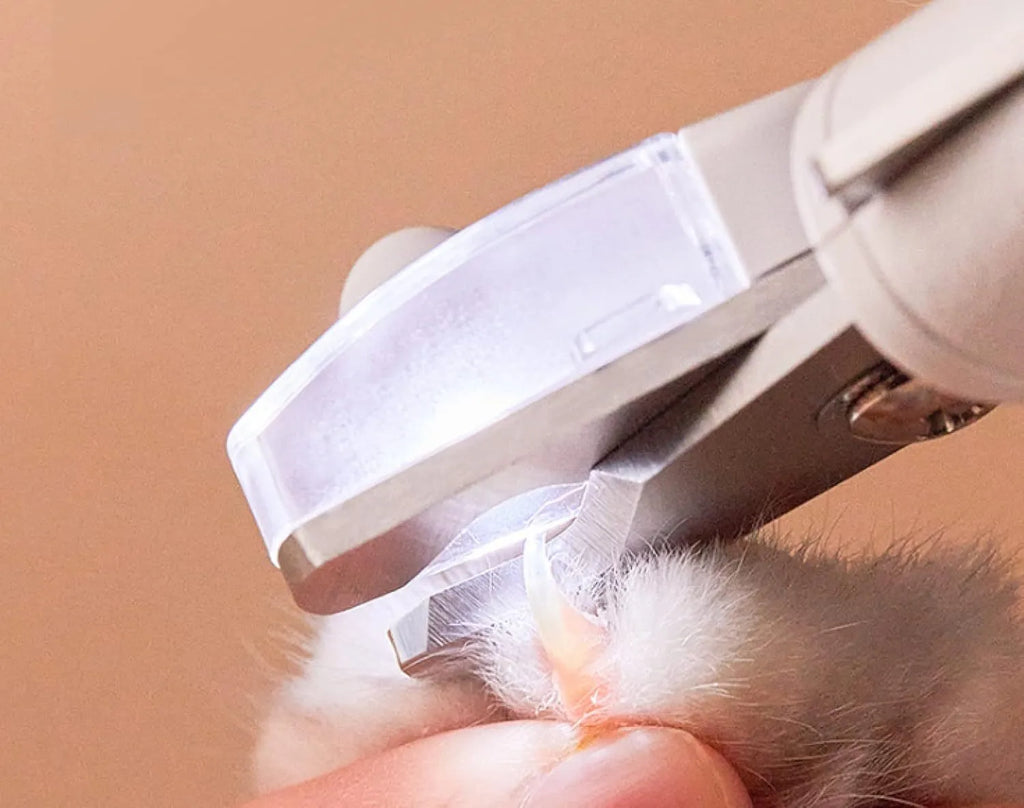 White LED pet nail clipper with transparent anti-splash guard and nail file.