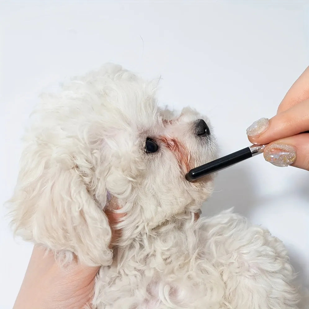 Black pet grooming brush with soft silicone bristles and comb section for dogs and cats