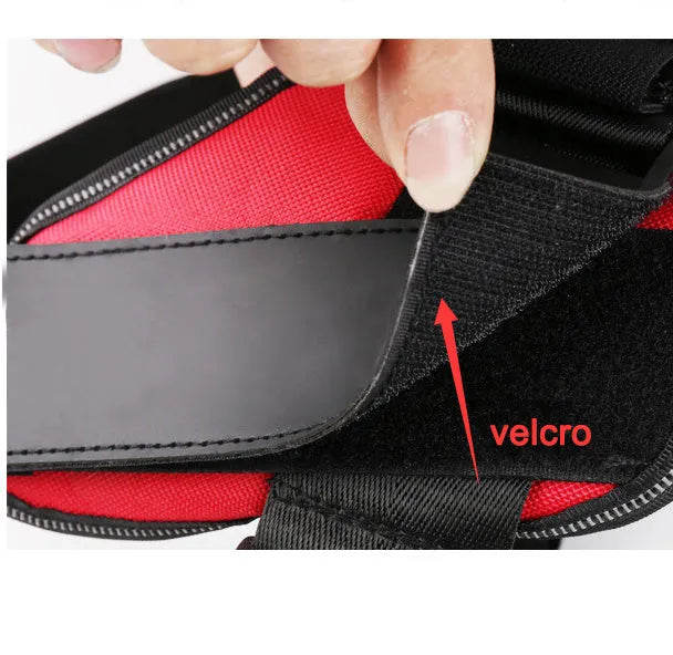 Customisable adjustable dog harness with reflective trim shown on a dog.