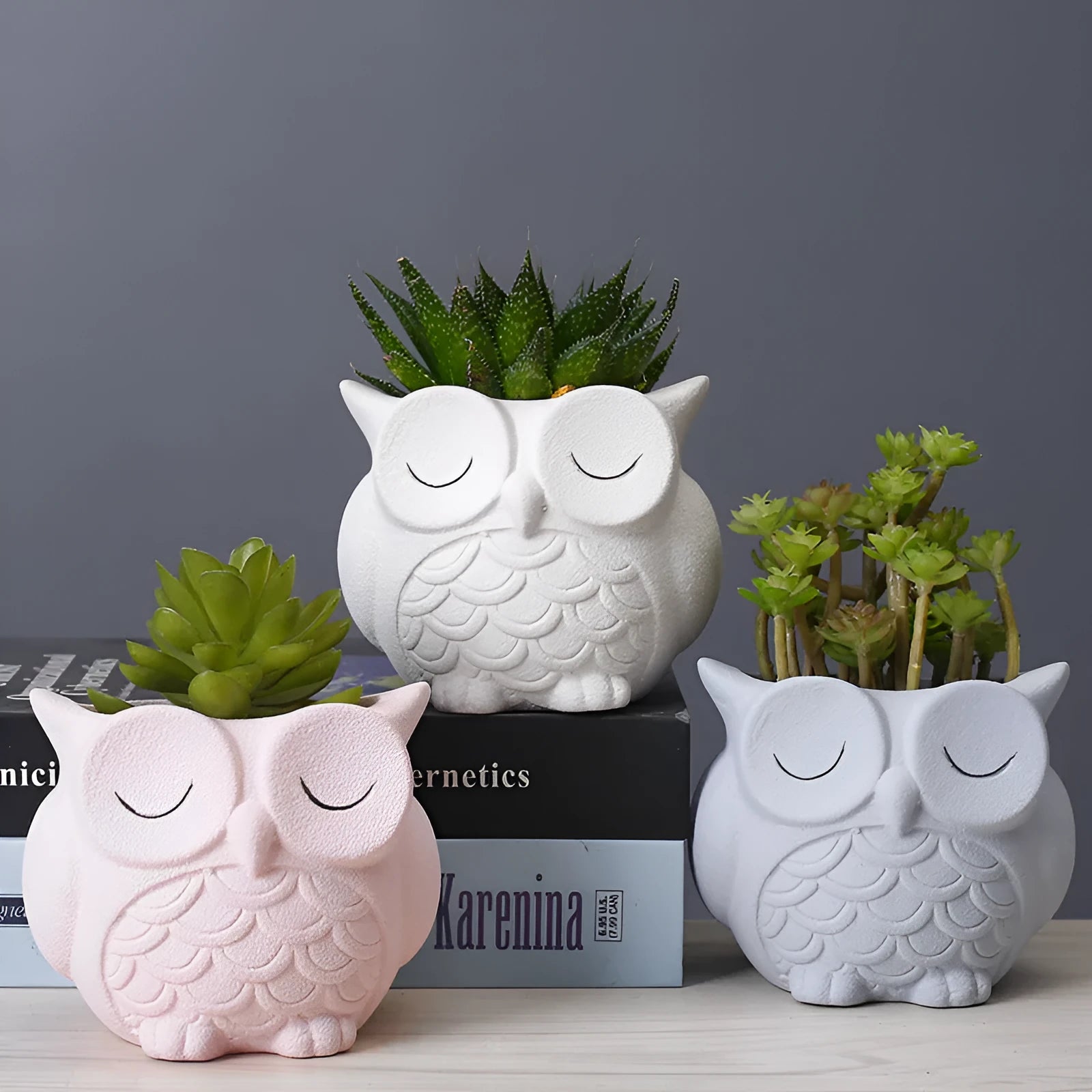 Handmade frosted ceramic flower pot with a cartoon owl design for succulents.