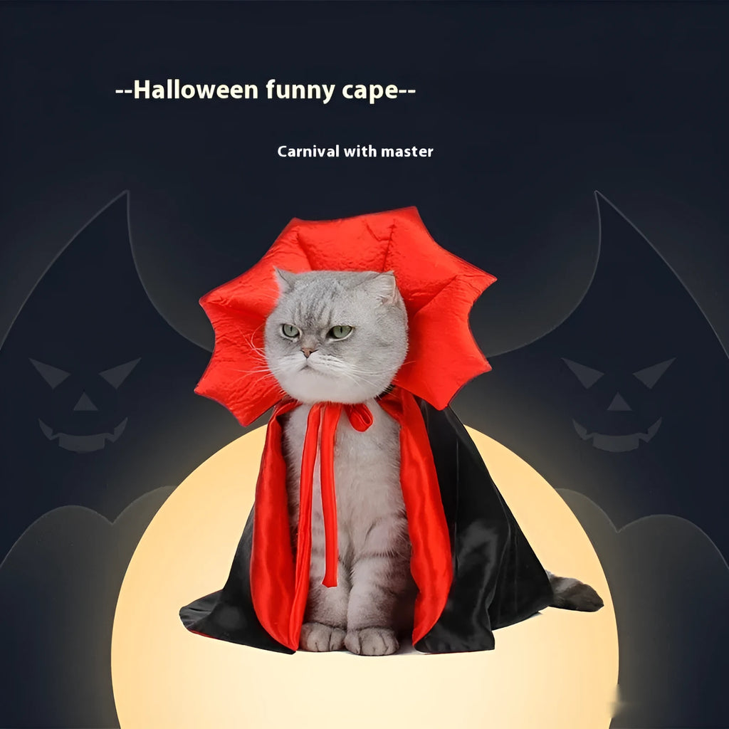 Black and red Halloween costume for small pet cat or dog with European American style