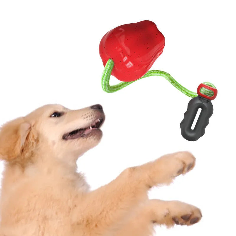 Green plastic dog toy shaped like apple with food dropping hole and molar chewing texture