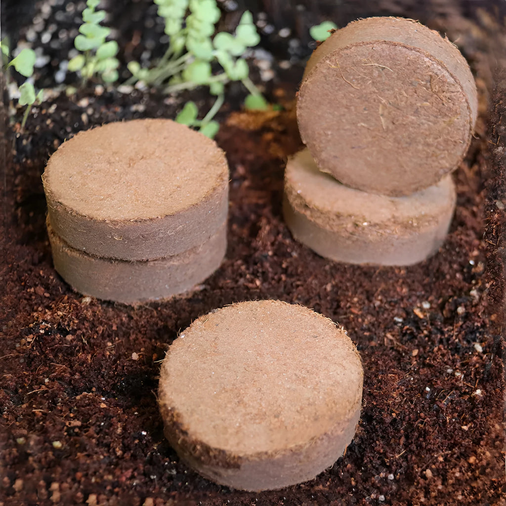 Coir soil blocks for vegetable planting in various sizes with high water absorption for seedling cultivation