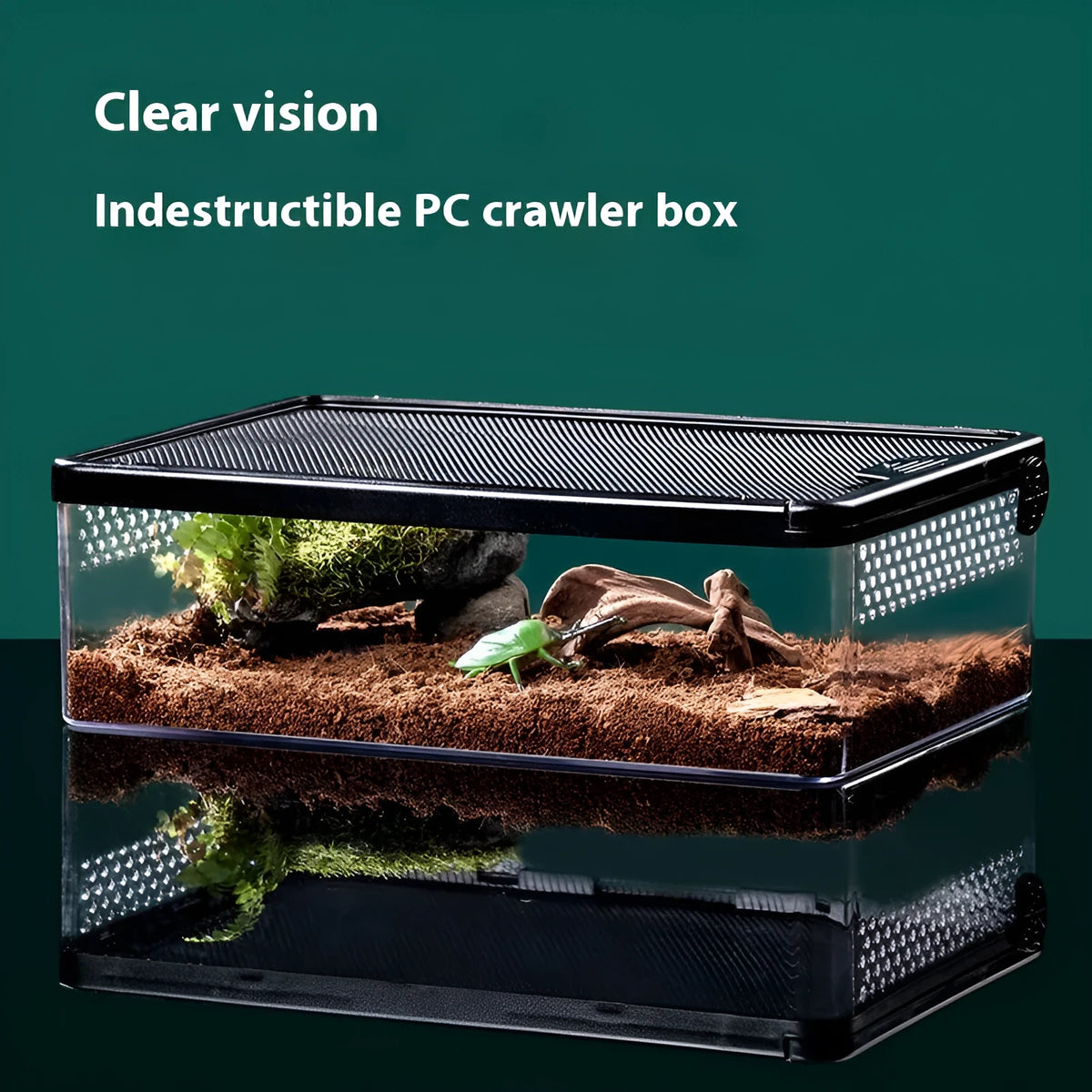 Cylinder track box with engineering plastic wire fence, clear or transparent black frame, for turtle hamster corn snake