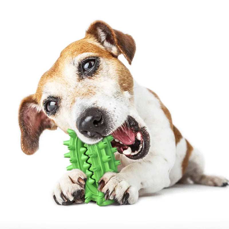 Green cactus-shaped dog chew toy with bumps and a central channel for dental care