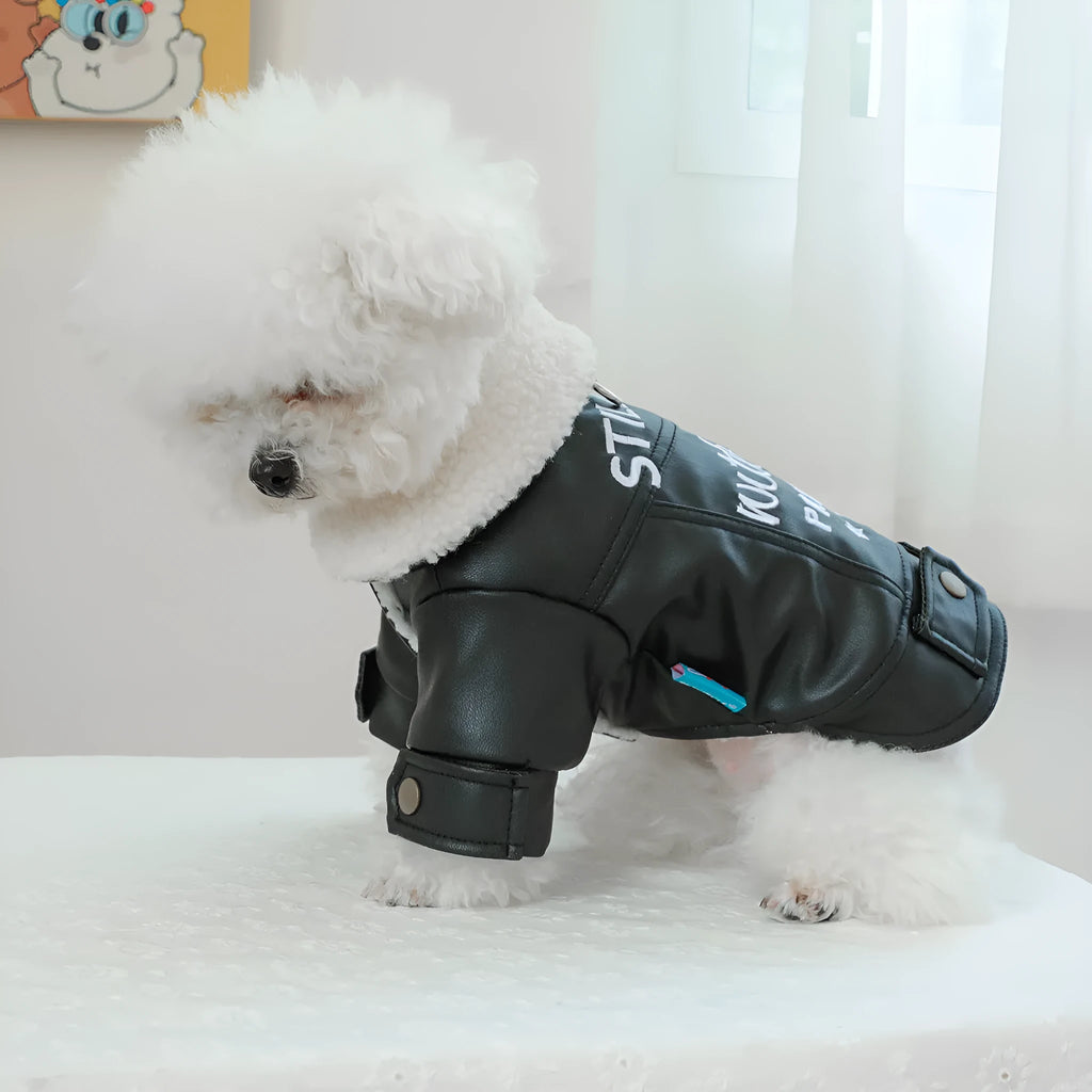 Fleece lined padded pet coat in black, beige, or suede, sizes XS to XL, polyester warm keeping dog jacket