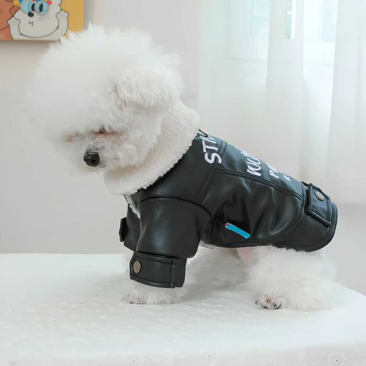 Fleece lined padded pet coat in black, beige, or suede, sizes XS to XL, polyester warm keeping dog jacket