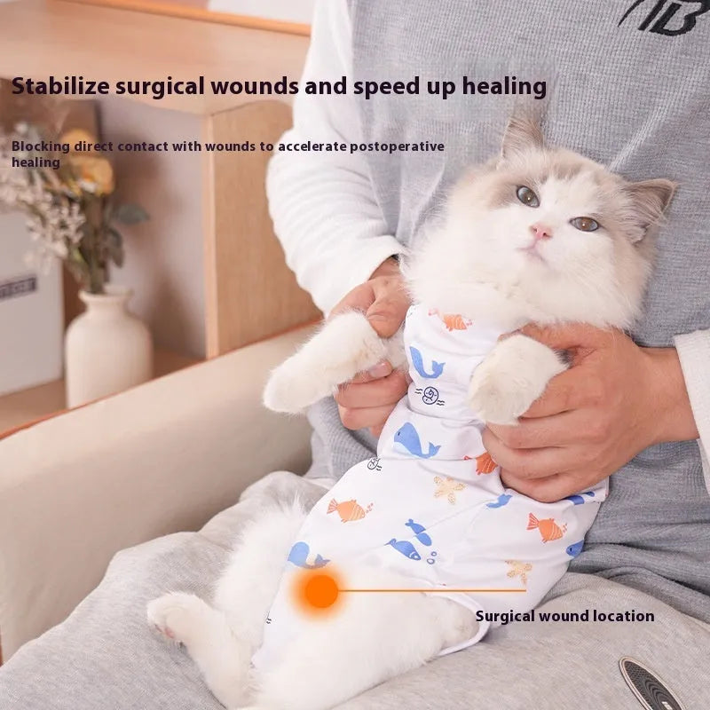 Cat wearing a blue patterned post-surgery recovery suit with velcro fastenings on its back.