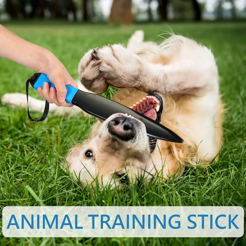 Blue handled nylon dog break stick for training small and medium dogs, shown at 35cm length.