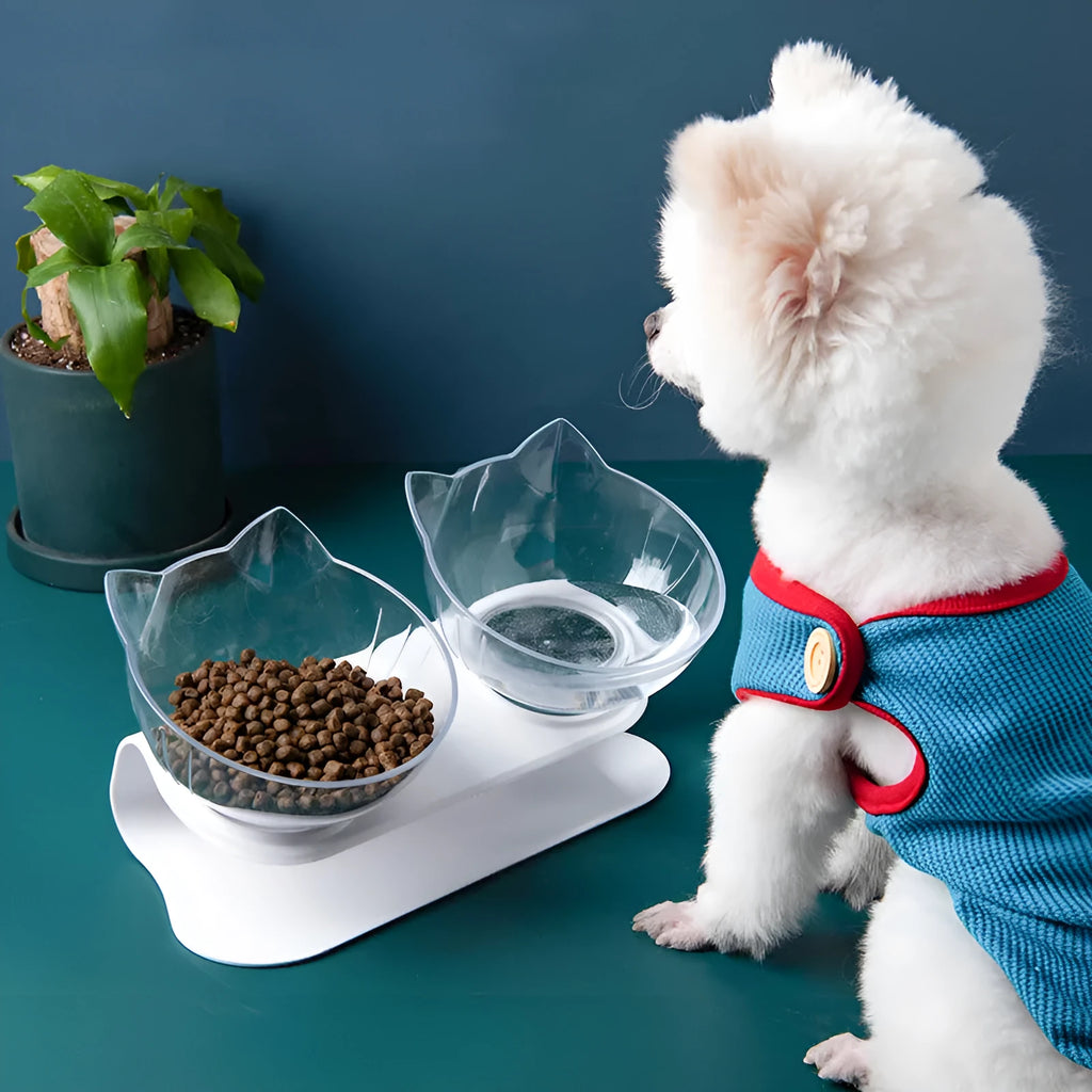 Inclined transparent cat food bowl with beige ABS base, oblique mouth and 13cm diameter, single or double version