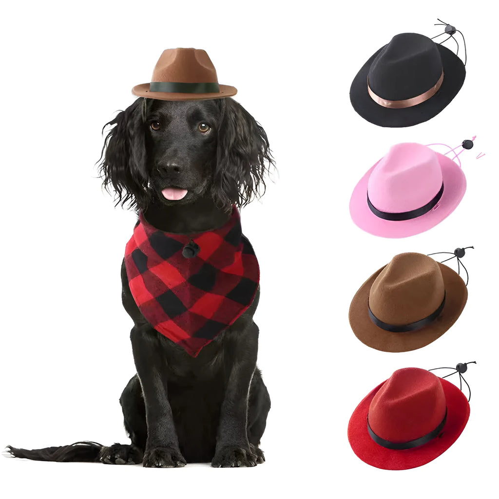 Small wool felt pet hat in S size with 155cm diameter and denim pattern