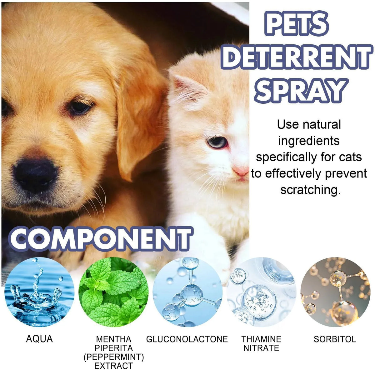 50ml pet training spray in box to deter dog and cat scratching on furniture