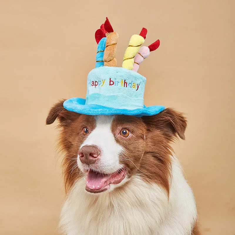 Cute pink and blue birthday hats for small dogs, shown with size scale.