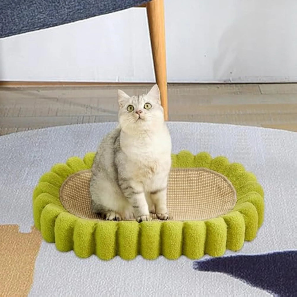 Green oval sisal cat scratcher pad bed measuring 650mm by 420mm