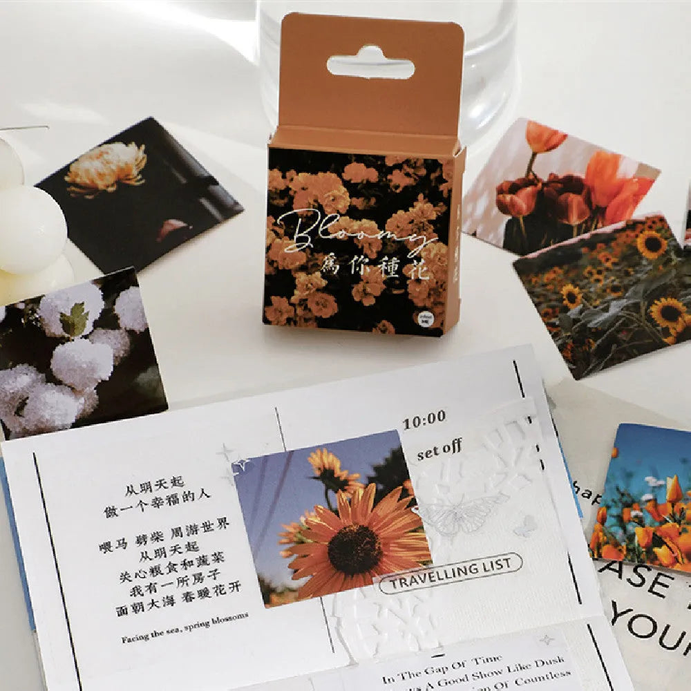Boxed set of 46 square decorative stickers with six Nordic nature and romance patterns.