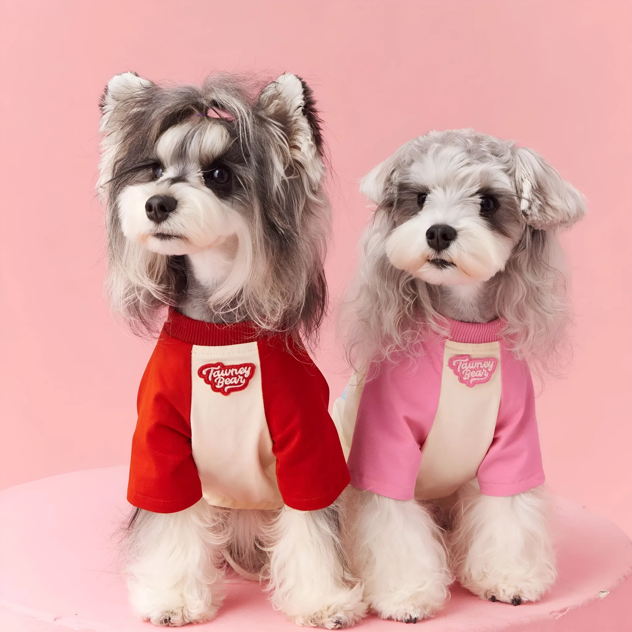 Cotton dog summer clothes in embroidered red or pink colours available in six sizes