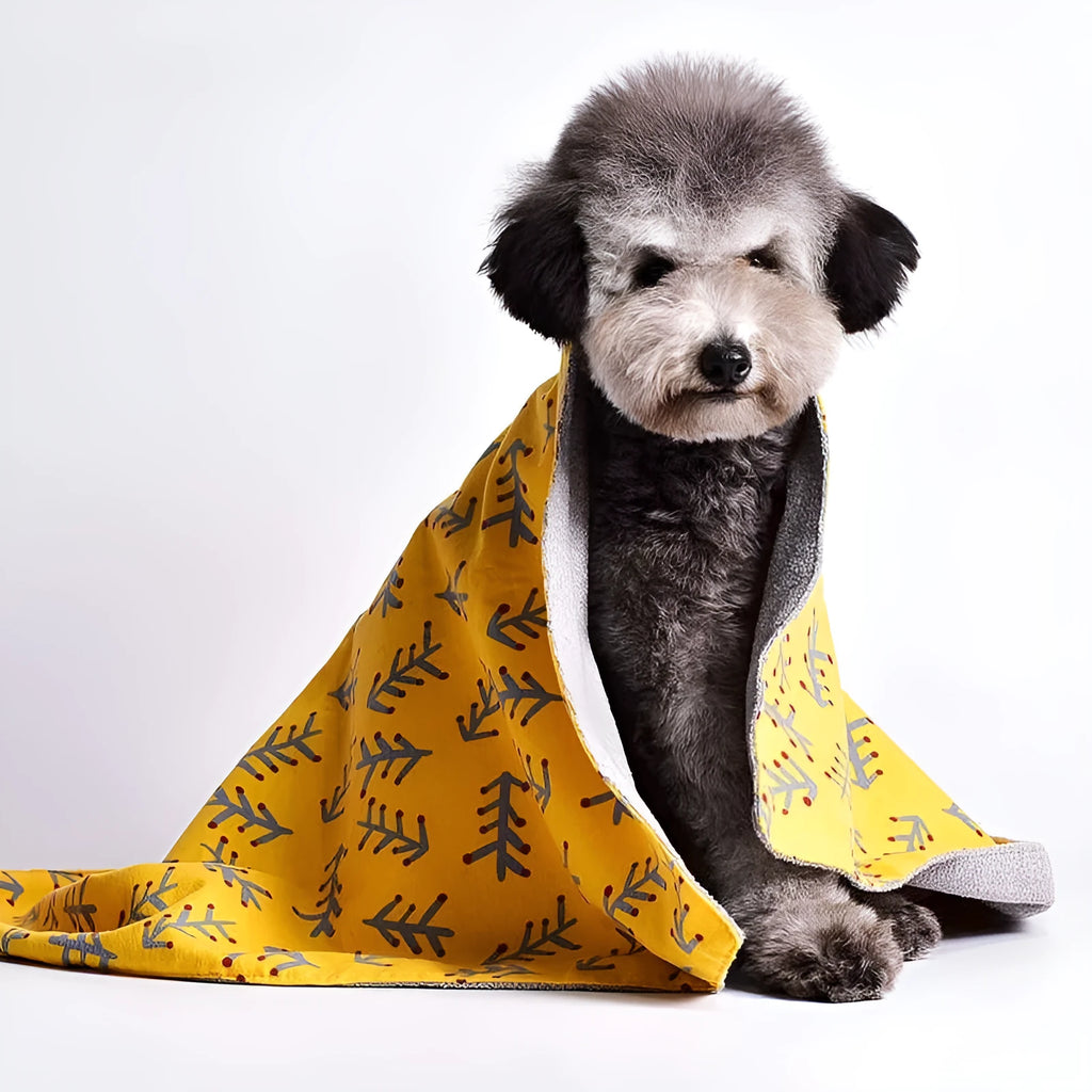 Double-sided cotton velvet pet blanket with dinosaur and cartoon bear designs in various sizes